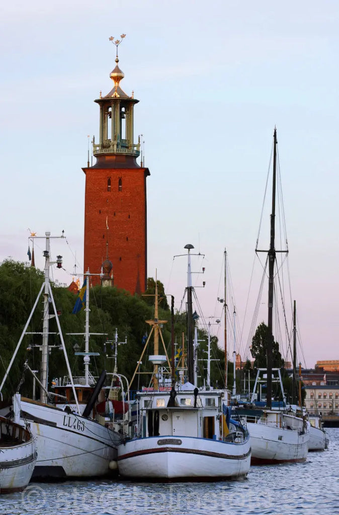 100432 - Skutor vid Norr mälarstrand