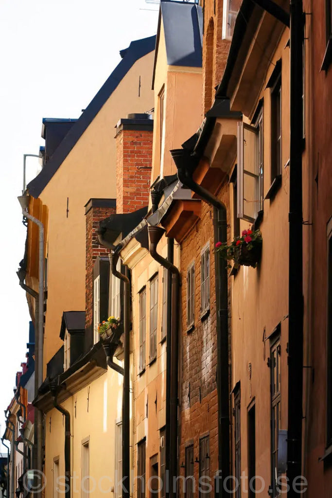 101124 - Bostadshus i Gamla stan