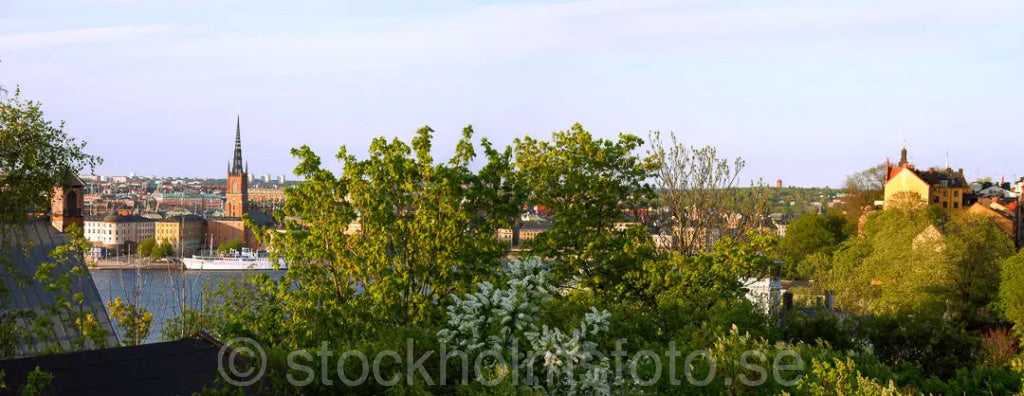 101195 - Utsikt över Riddarholmen och Mariaberget