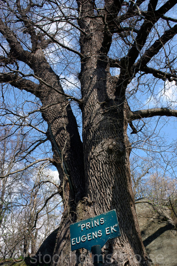 101678 - Prins Eugens Ek