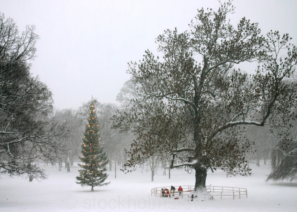 102057 - Juletid i Humlegården