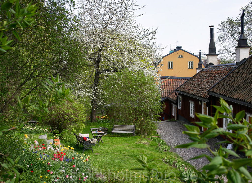 102459 - Kvastmakarbacken