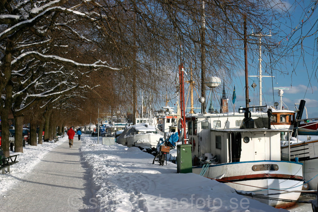 102510 - Skutor vid Norr Mälarstrand