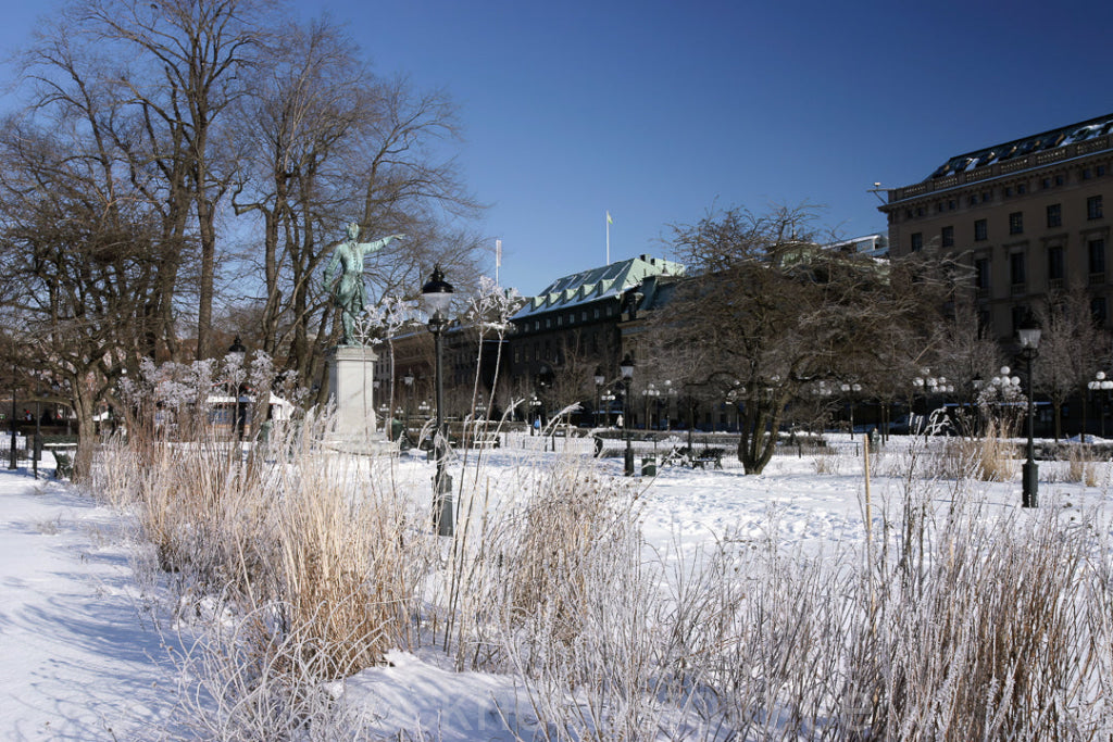 102511 - Karl XII:s torg i Kungsträdgården