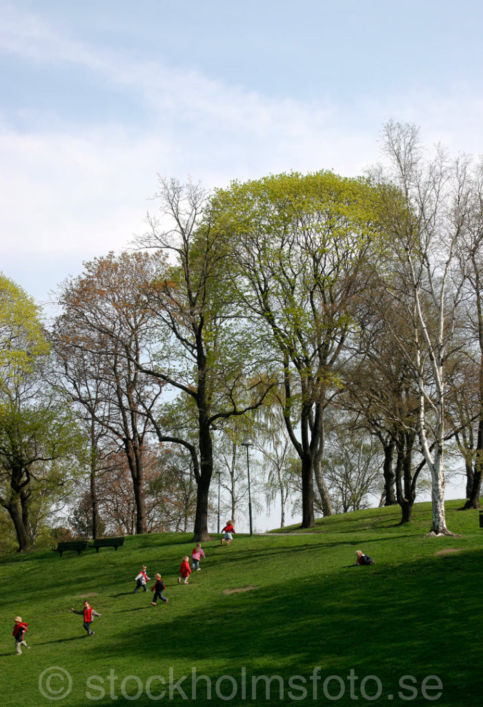 103617 - Barnlek i Kronobergsparken