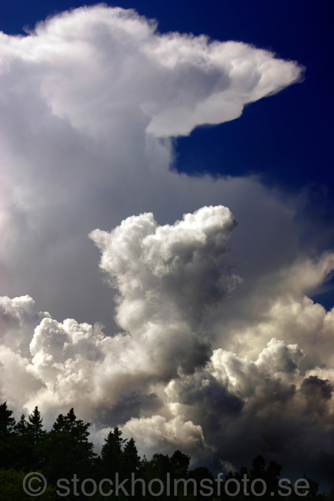 103637 - Ovädersmoln