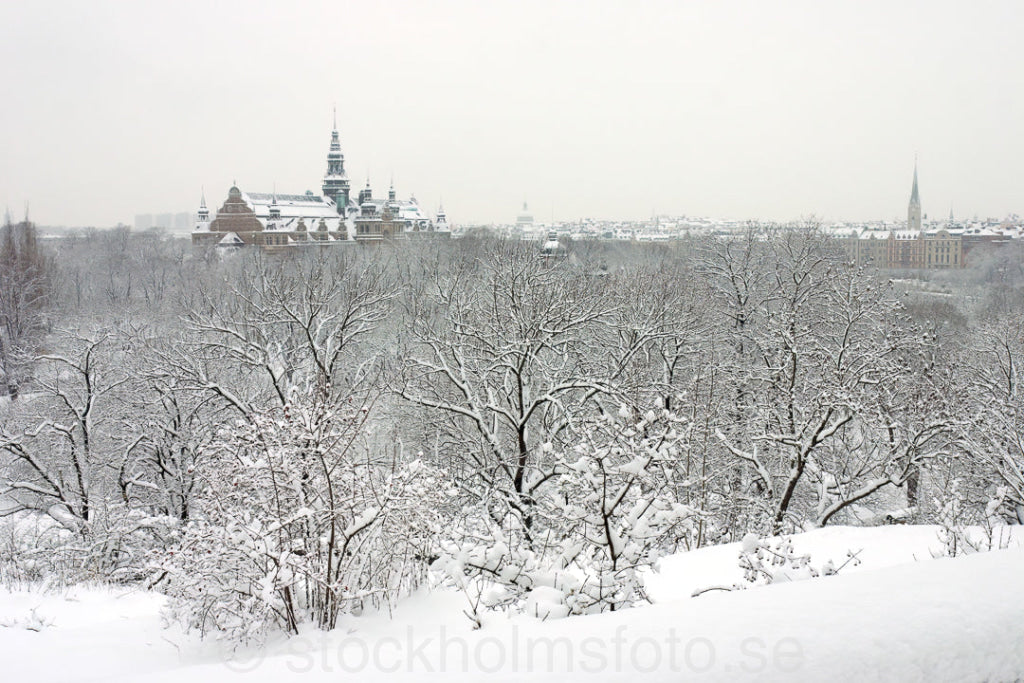 105176 - Vintervy på Djurgården