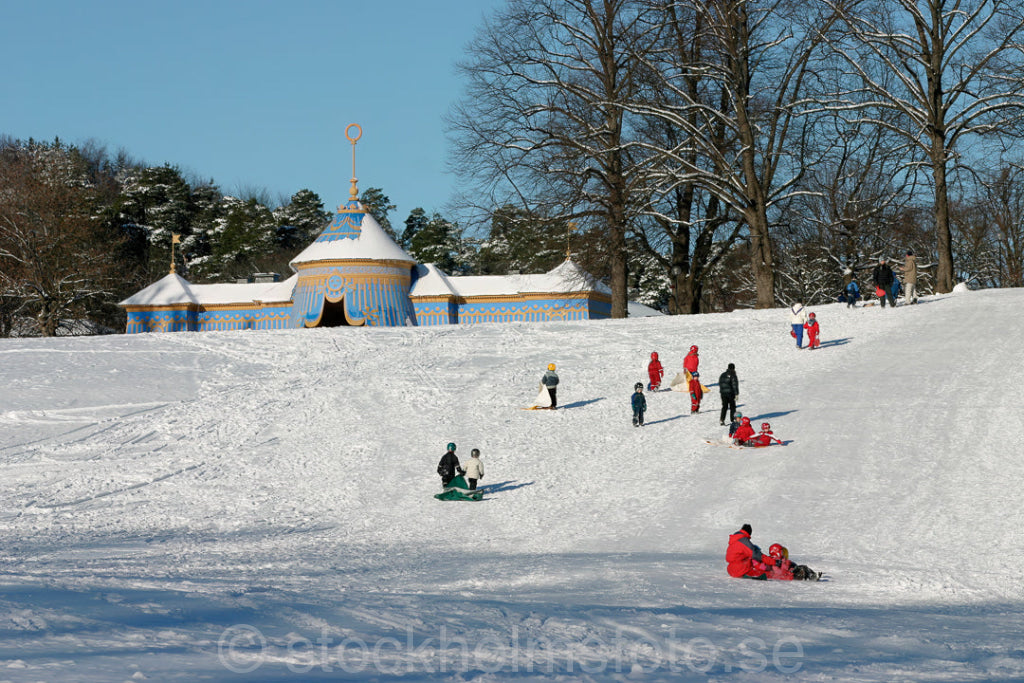 106689 - Pulkåkning i Hagaparken