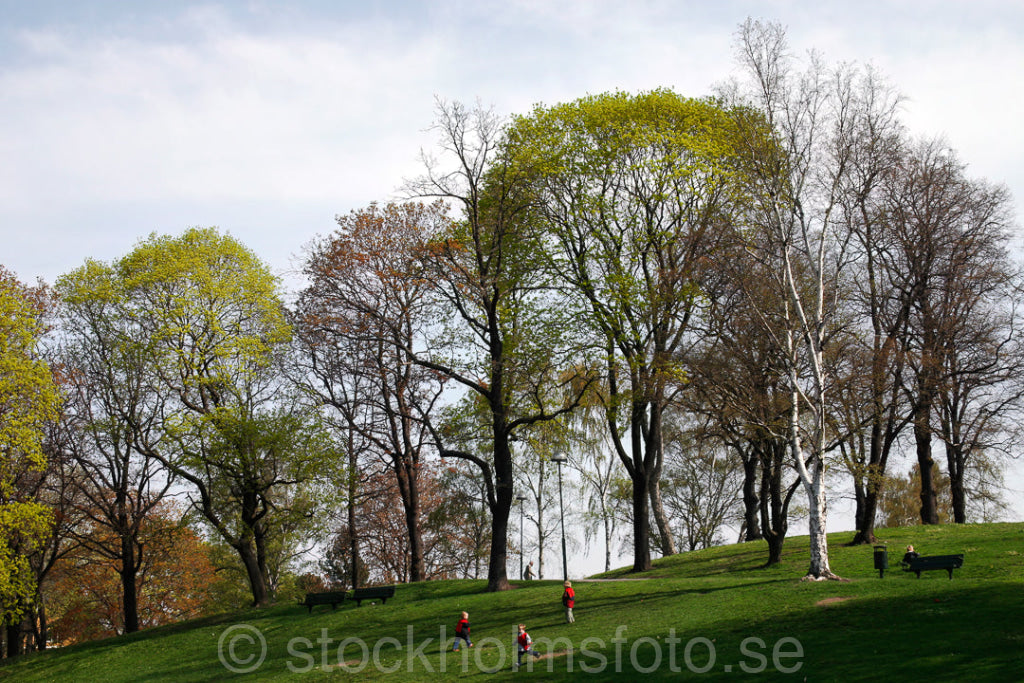 106696 - Kronobergsparken