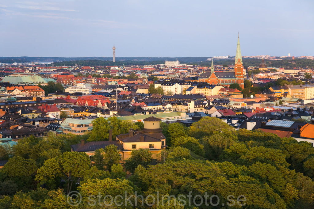 118538 - Observatorielunden