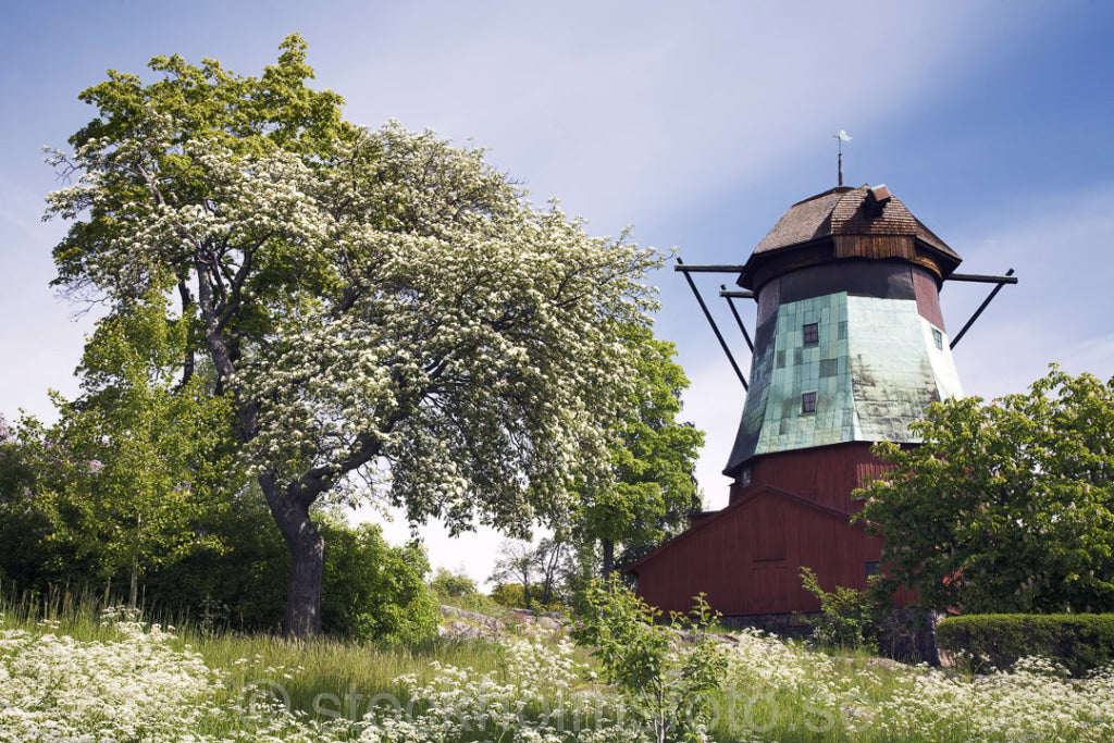 119264 - Den gamla linoljekvarnen