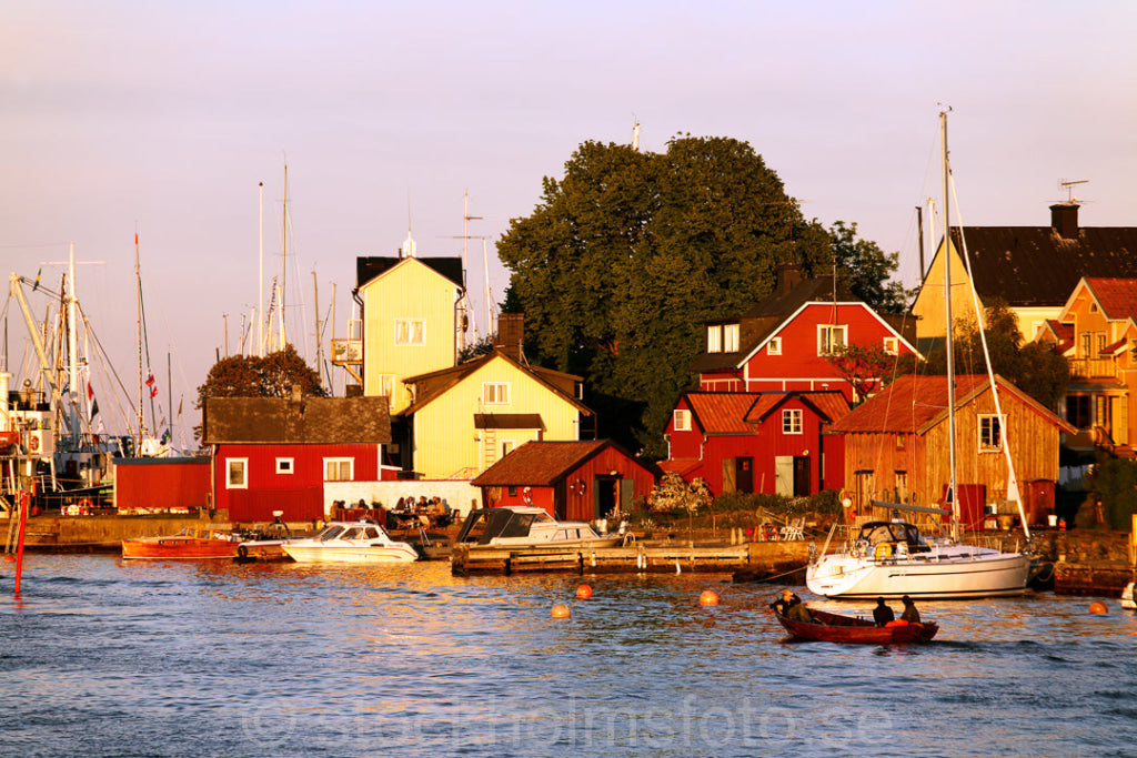121557 - Sommarkväll på Sandön(Sandhamn)