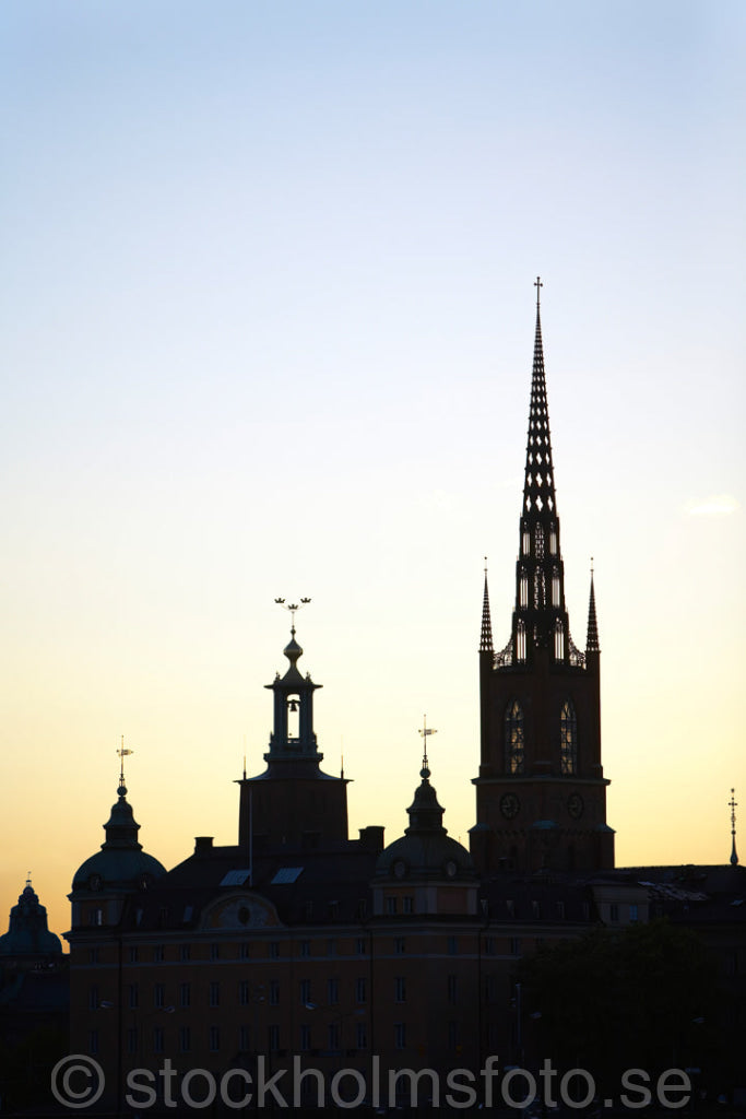 124710 - Stockholmssiluett