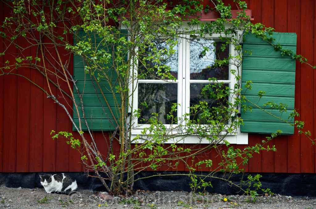 125282 - Söderidyll