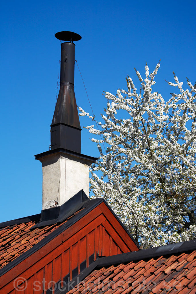 125306 - Skorsten på söderkåk