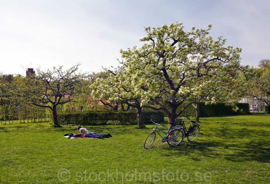 127326 - Utflykt till Rosendal