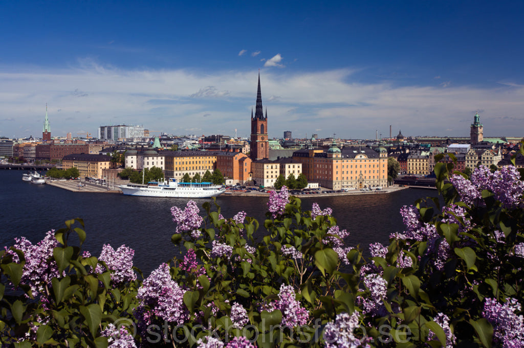 129236 - Riddarfjärden och Riddarholmen