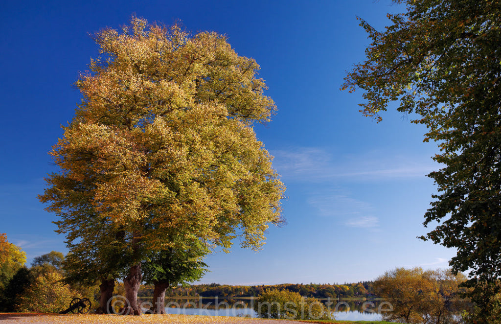 129436 - Vid Skoklosters slott