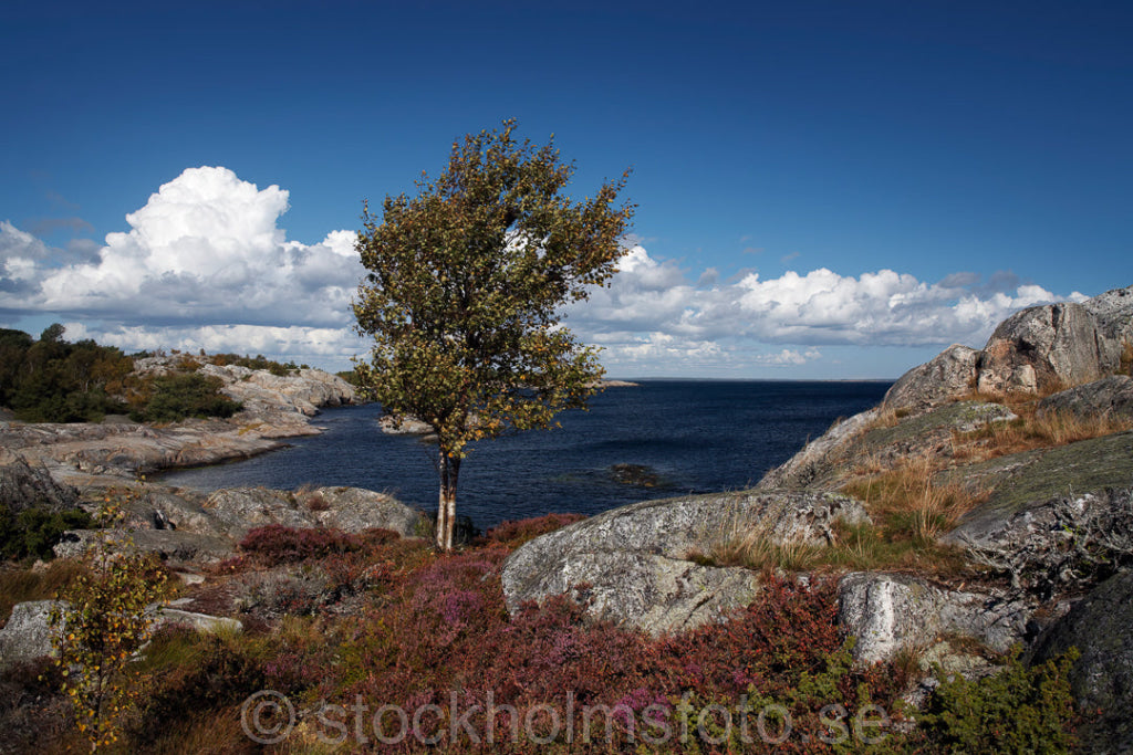 134579 - Bullerö