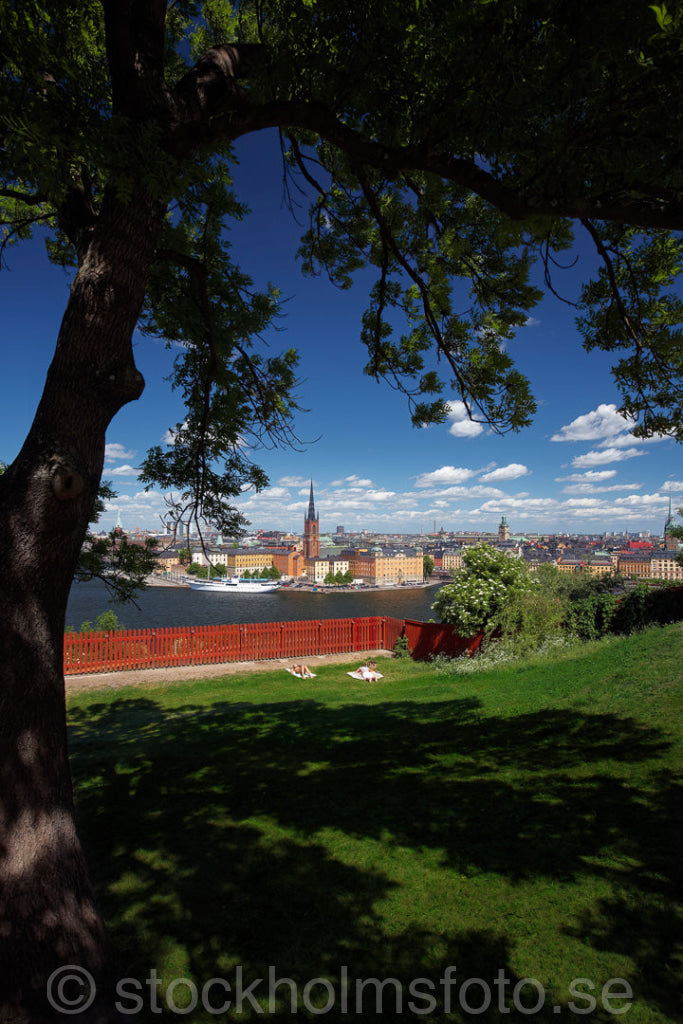 134640 - Vy från Söder