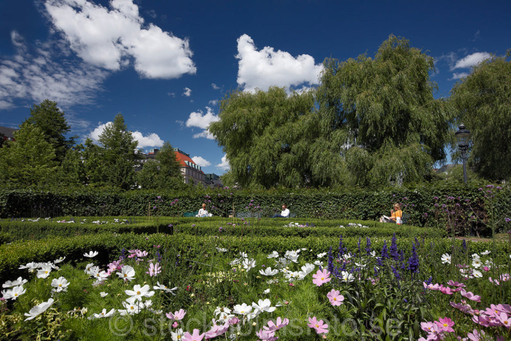 137528 - Kungsträdgården