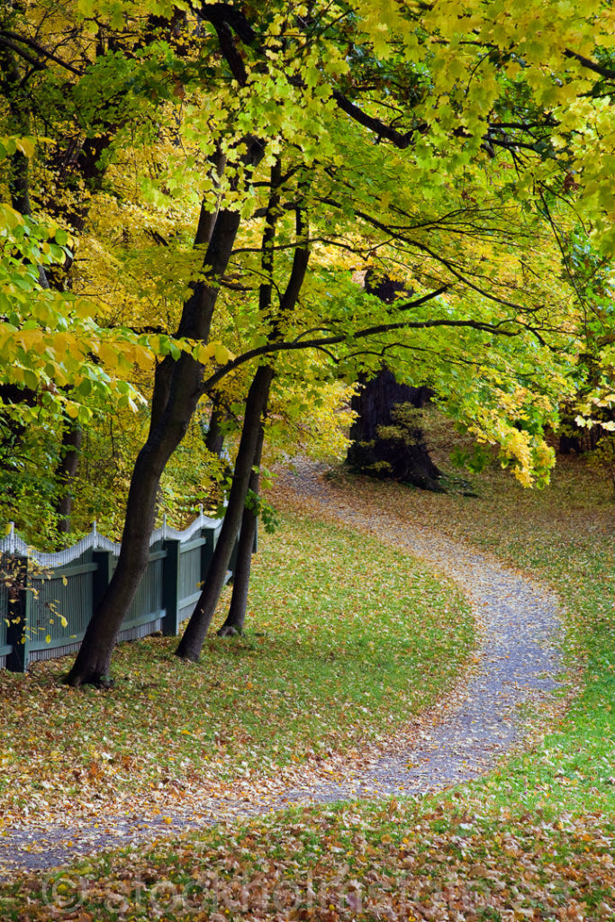 144413 - Höst vid Waldemarsudde