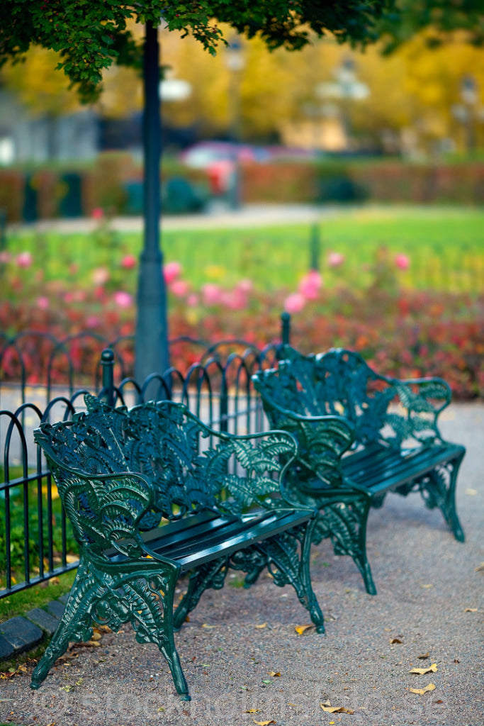 145092 - Parkbänkar i Kungsträdgården