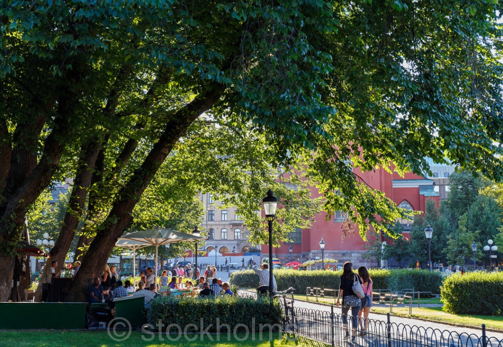 145656 - Kungsträdgården