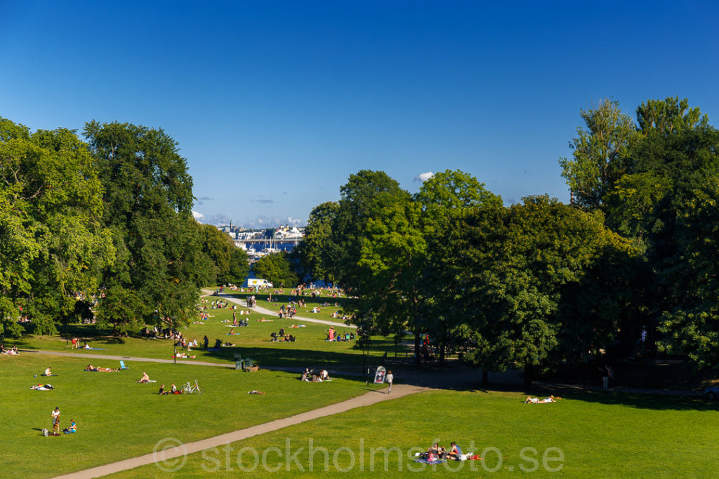 145668 - Rålambshovsparken