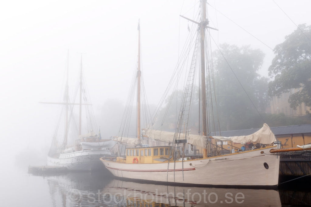 145698 - Fartyg i dimma