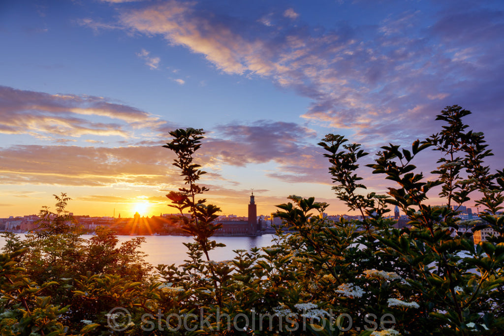 145869 - Solnedgång över Stockholm