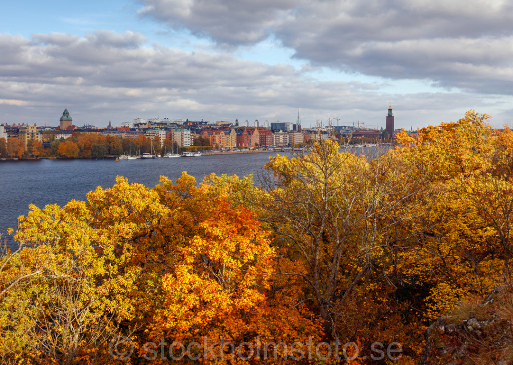 146020 - Höst på Långholmen