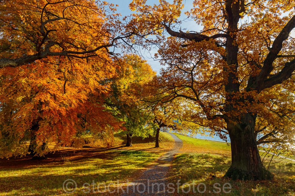 146057 - Höst vid Manilla