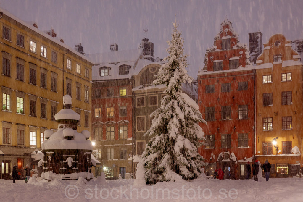 146087 - Stortorget i snöoväder