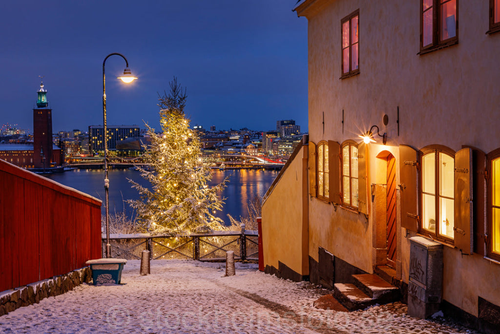 146108 - Jul på Mariaberget