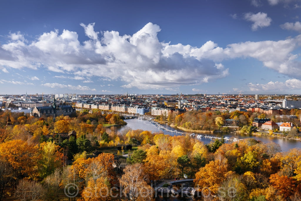 146178 - Höst på Djurgården