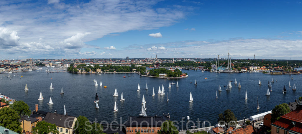 146232 - ÅF Offshore Race