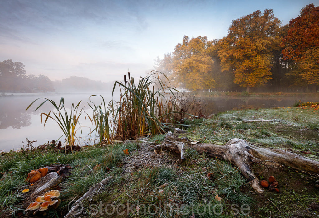 146258 - Drottningholmsparken