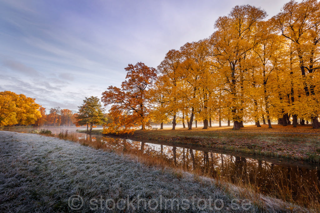 146259 - Drottningholmsparken