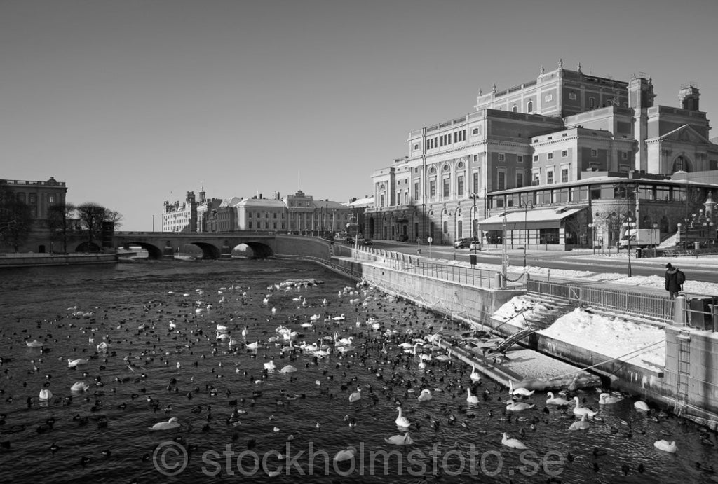 146288 - Strömmen och Operan