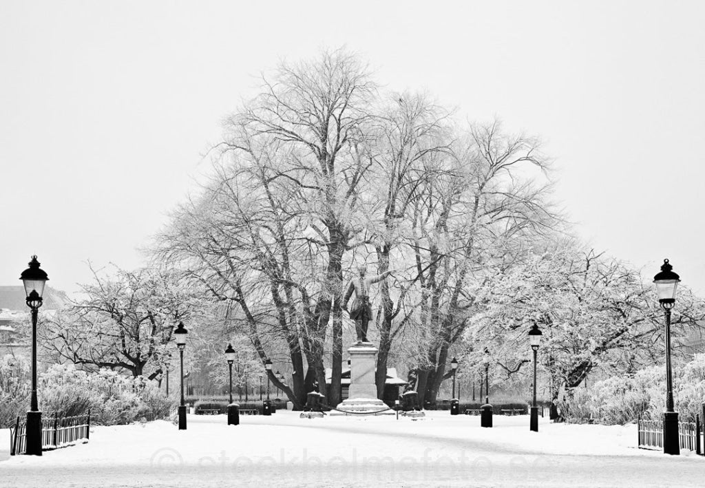 146292 - Karl XII:s torg i vinterkyla