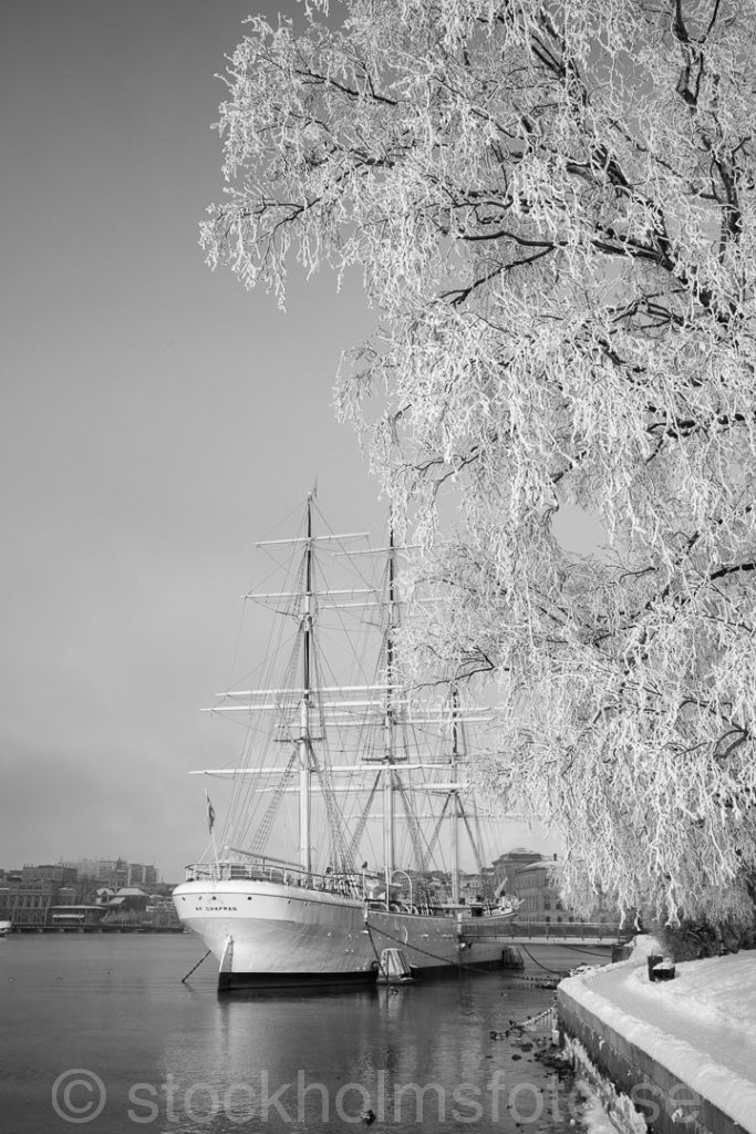 146294 - af Chapman vintertid