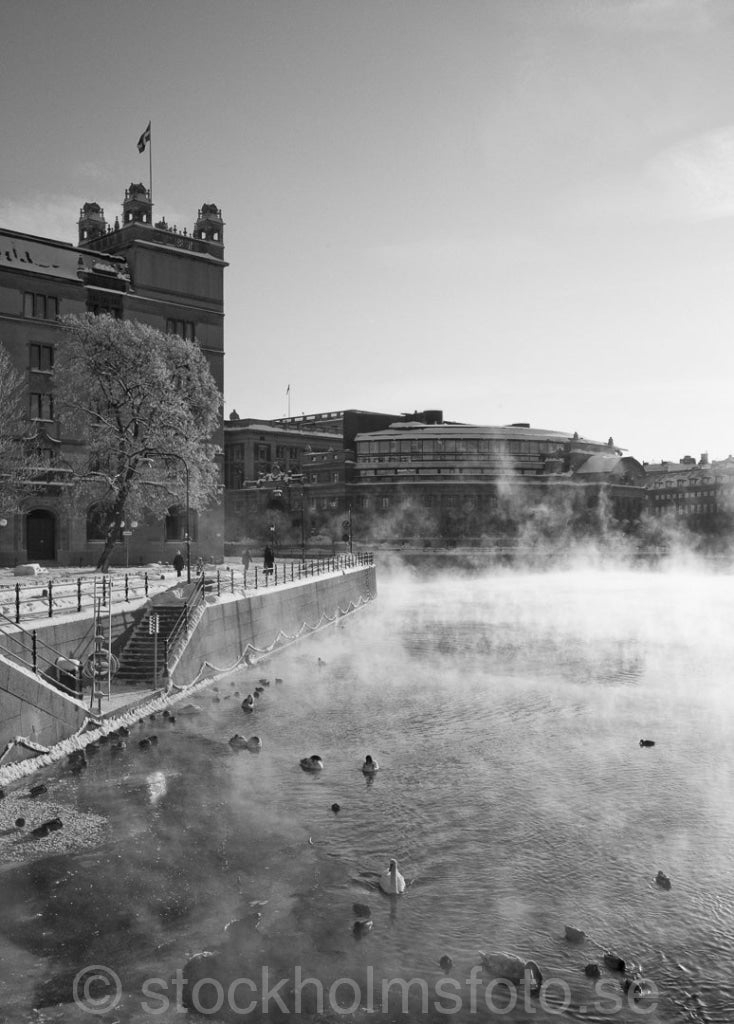 146303 - Vinter vid Rosenbad