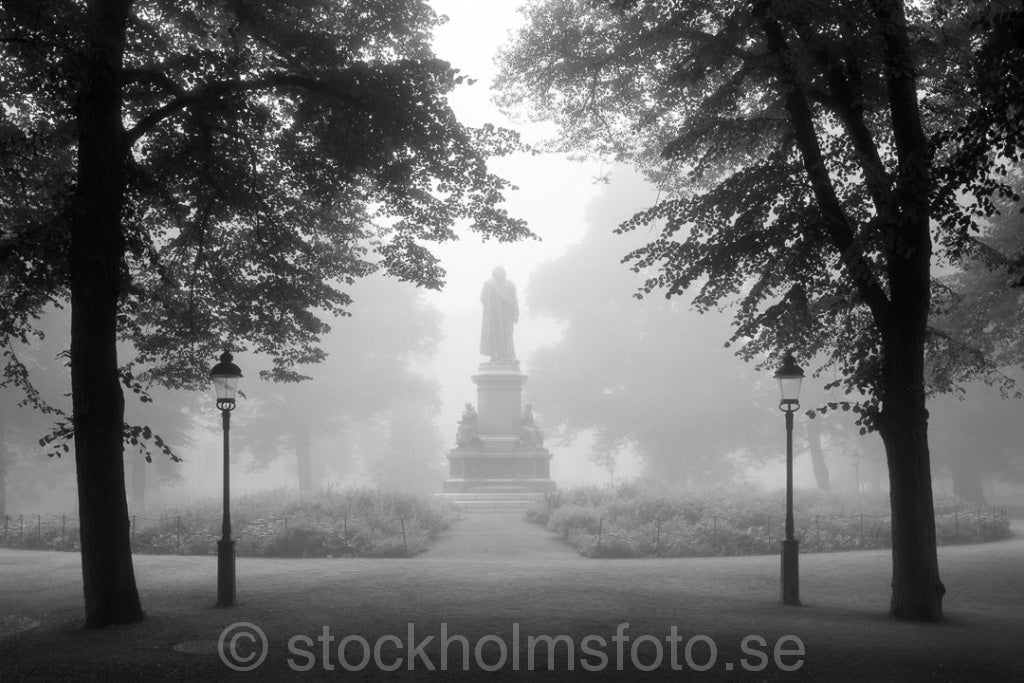 146319 - Linnéstaty i Humlegården