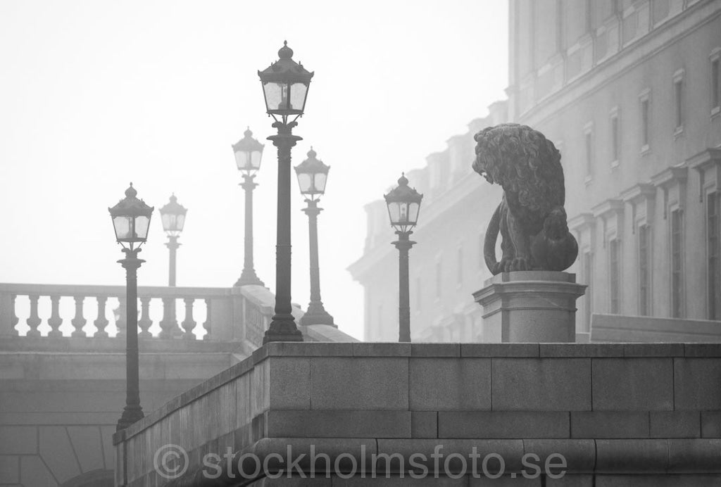 146327 - Lejonbacken i dimma