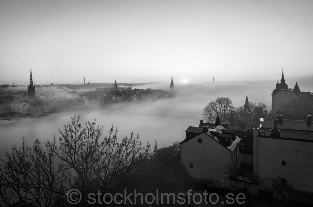 146334 - Vårdimma vid Mariaberget