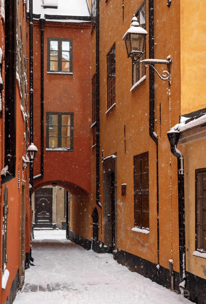 146405 - Skeppar Olofs gränd