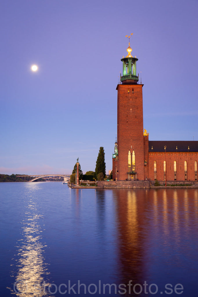 146420 - Stadshuset och måne