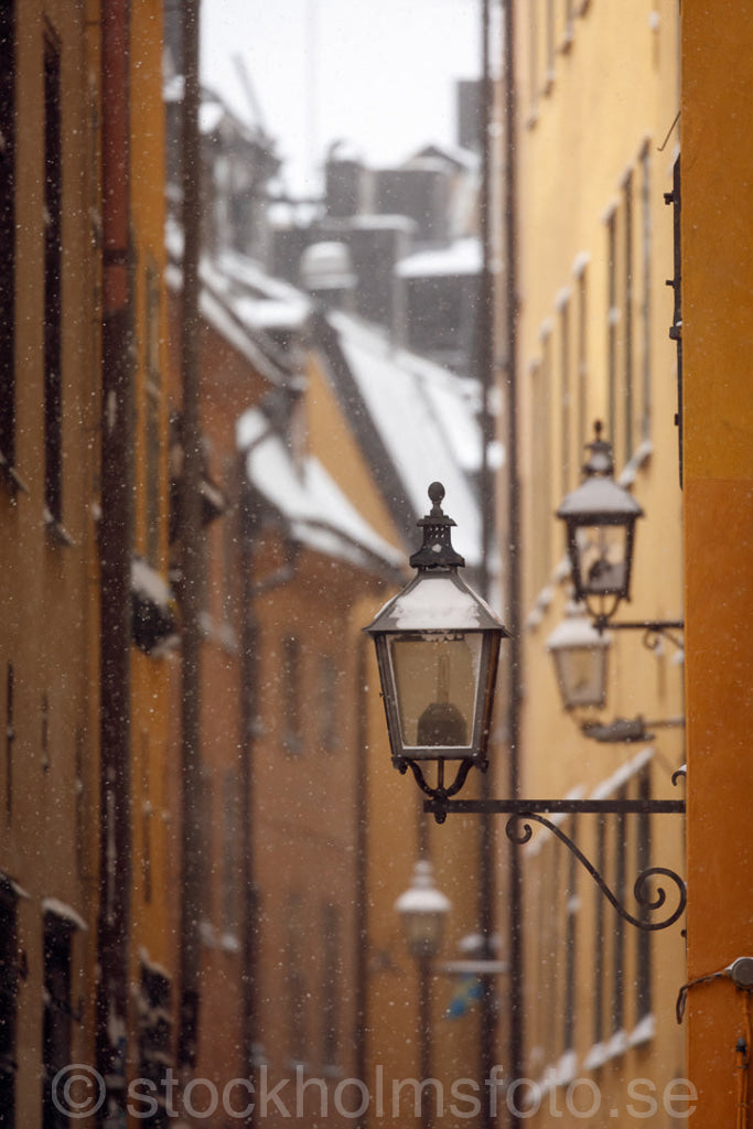 146528 - Lyktor på Prästgatan