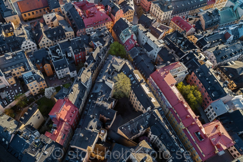 146584 - Takåsar i Gamla stan